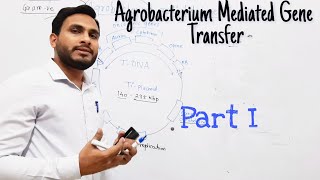 Agrobacterium Mediated Gene Transfer  Part 1 Hindi [upl. by Miharbi]