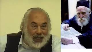 Shlomo Carlebach  Story of Reb Moshe Feinstein Pregnant Girl Suicide  Torah Shebaal Peh [upl. by Wyatan]