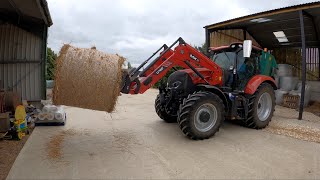 A TRIP TO REDHILL FARMS ALFALFA AND A CASE MAXXUM NICKSFARM FARMING [upl. by Elohcan130]