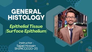 Epithelial Tissue Surface Epithelium  Histology Basic Lecture  Explained in Bangla [upl. by Magna268]