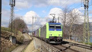 Swiss Freight amp Passenger trains in amp around Spiez  January 2018 [upl. by Lamoree533]