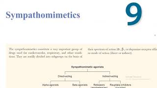 Sympathomimetics  KATZUNG  Online session [upl. by Aimat]