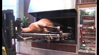 Horse Cremation processes  Animal crematorium [upl. by Kinemod581]