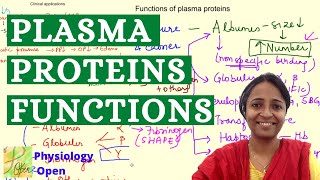 Plasma proteins  functions and clinical applications  Blood physiology mbbs 1st year lecture [upl. by Nij]