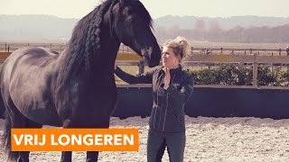 Vrij longeren zonder halster  PaardenpraatTV [upl. by Furlong]