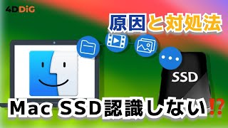 Macで外付けSSDが認識しない原因と対処法｜SanDisk・SamSung対応｜4DDiG Mac [upl. by Assi829]