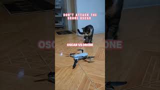 Oscars Funny Reaction to Drone [upl. by Helga]