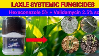 Laxle systemic fungicideshexaconazole 5  validamycin 25 sc  full information [upl. by Bubb]