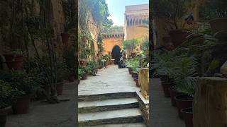 At Neemrana Fort – where history meets luxury and adventure  neemranafort ytshorts youtuber yt [upl. by Bliss248]