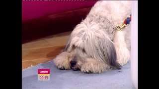 ASHLEIGH amp PUDSEY BRITAINS GOT TALENT 2012 WINNERS INTERVIEW ON LORRAINE [upl. by Kared]