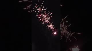 Killer Spider Firework 49 shots [upl. by Alidia236]