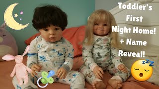 Toddlers First Night Home  Name Reveal [upl. by Birmingham79]