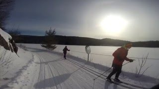 CrossCountry Skiing in Gatineau Park [upl. by Ihdin]