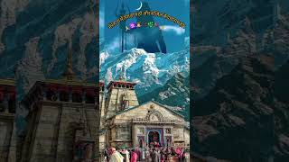 Manzil kedarnath ho 🙏🌿📿shortvideo 🙏🌿🚩🙇‍♀️🕉🌺🌺trending song [upl. by Sarazen]