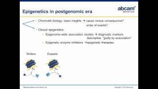 Epigenetic Editing towards reprogramming of gene expression [upl. by Rochester]