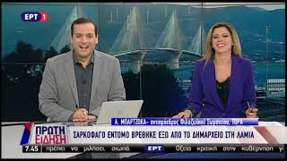 Newsbeastgr  Σαρκοφάγο έντομο βρέθηκε έξω από το δημαρχείο στη Λαμία [upl. by Atla]