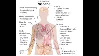 Side Effect of Nicotine Use [upl. by Enyluqcaj]