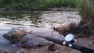 Where To Find Catfish On A River [upl. by Allets]