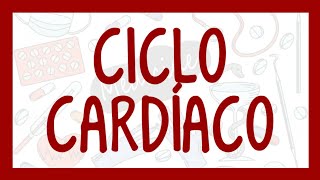 CICLO CARDÍACO  ¡Fácil explicación Fisiología [upl. by Soisatsana37]