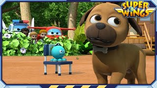 SUPERWINGS Best Exciting Animal Tag  Superwings  Super Wings  Best Compilation EP75 [upl. by Benedetta]