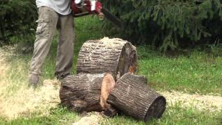 Strunk Big Timber Pro Cutting Wood [upl. by Quincy427]