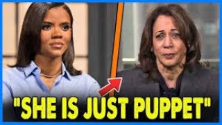 Mr Zac Reacts Live Candice Owens x Kamala Harris Surfing Youtube [upl. by Martell]