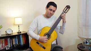 Matteo Carcassi  Andante in Am Op 59  Classical Guitar [upl. by Rodrick]