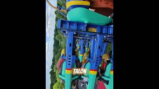 Talon POV Dorney Park talon dorneypark rollercoaster pov themepark allentownpa amusementpark [upl. by Nnaeirb]