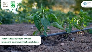 Nestlé Pakistan’s efforts towards promoting innovative irrigation solutions [upl. by Henryk]