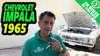 CHEVROLET IMPALA 1965 RESEร‘A  EN VENTA ยก [upl. by Aihsat]