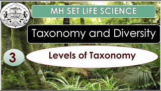 Levels of Taxonomy  Alpha Beta And Gamma Taxonomy  Vernacular and Scientific Names  MH SET [upl. by Ediva]