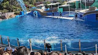 San Diego Seaworld Orca show [upl. by Vijnas629]