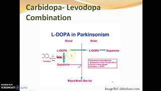 Pharmacology of Levodopa  M P Dixit [upl. by Ettari]