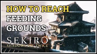 How to reach Feeding Grounds in Fountainhead Palace Sekiro [upl. by Ayitahs]