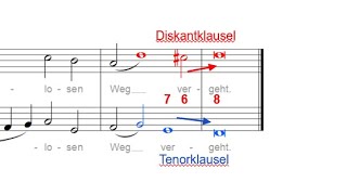 Zweistimmiger Kontrapunkt Kadenzen 1  Einführung [upl. by Tnilc30]