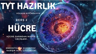 Hücre zarından madde geçişleriEndositoz ve Ekzositoz SORU ÇÖZÜMLERİ yks2025 [upl. by Creedon]