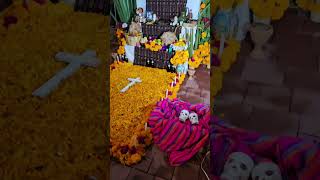 Campeche Ofrenda 🌼 youtubeshorts playadelcarmenmexico [upl. by Nnairrehs31]