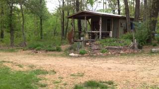 Our Permaculture homestead [upl. by Oralie]