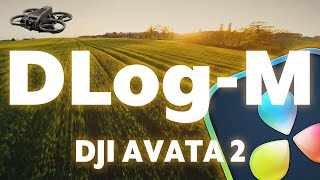 Etalonnage DLog M  Avata 2 [upl. by Kirad141]