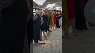 Halay Başına Alkış 😍😍 halay delilo govend shorts halaykürtçe [upl. by Rodger]