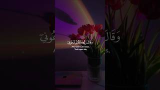 ٦ نوفمبر ٢٠٢٤ [upl. by Oner]