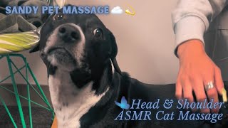 PET ASMR MASSAGE  Head amp Body Massage Dog Edition [upl. by Tirrej]