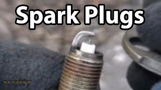 How To Change Spark Plugs [upl. by Nosnibor284]