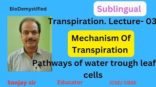 Transpiration Lecture03  Mechanism Of Transpiration [upl. by Backler567]