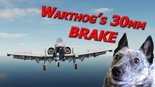 Testing the A10s BEST BRAKE Real Pilot Plays Digital Combat Simulator World [upl. by Lancelot]