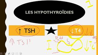 cours endocrinologie hypothyroidie [upl. by Ynohtn]