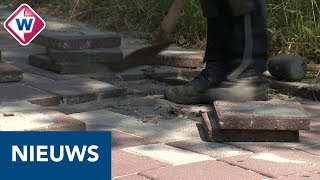 Uiteenlopende problemen door droogte van ongeluk tot dorstige kerstboom  OMROEP WEST [upl. by Kantor]