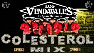 🎷LOS VENDAVALES 🎷EL COLESTEROL MIX🎷BY DJ MAGIC MIKE MTY🎷 [upl. by Naitsirt]