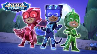 PJ Masks  New Powers for the PJ Masks  Kids Cartoon Video  Animation for Kids  COMPILATION [upl. by Alyag201]