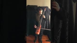 Electric upright bass solo [upl. by Bria320]